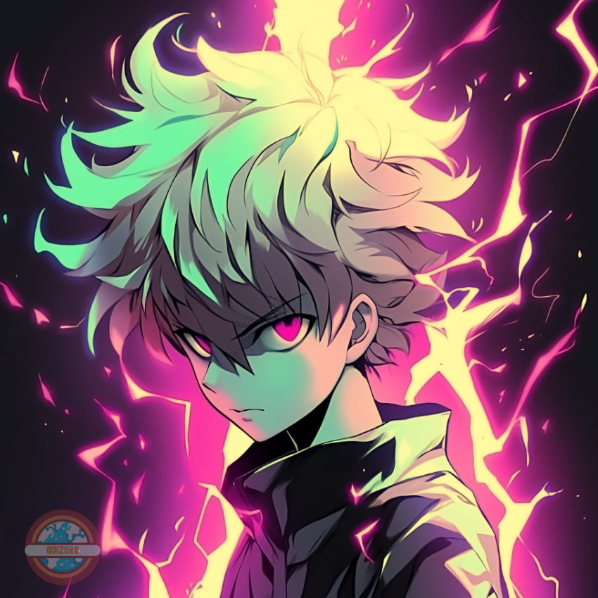 Quiz Hunter x Hunter Questions faciles