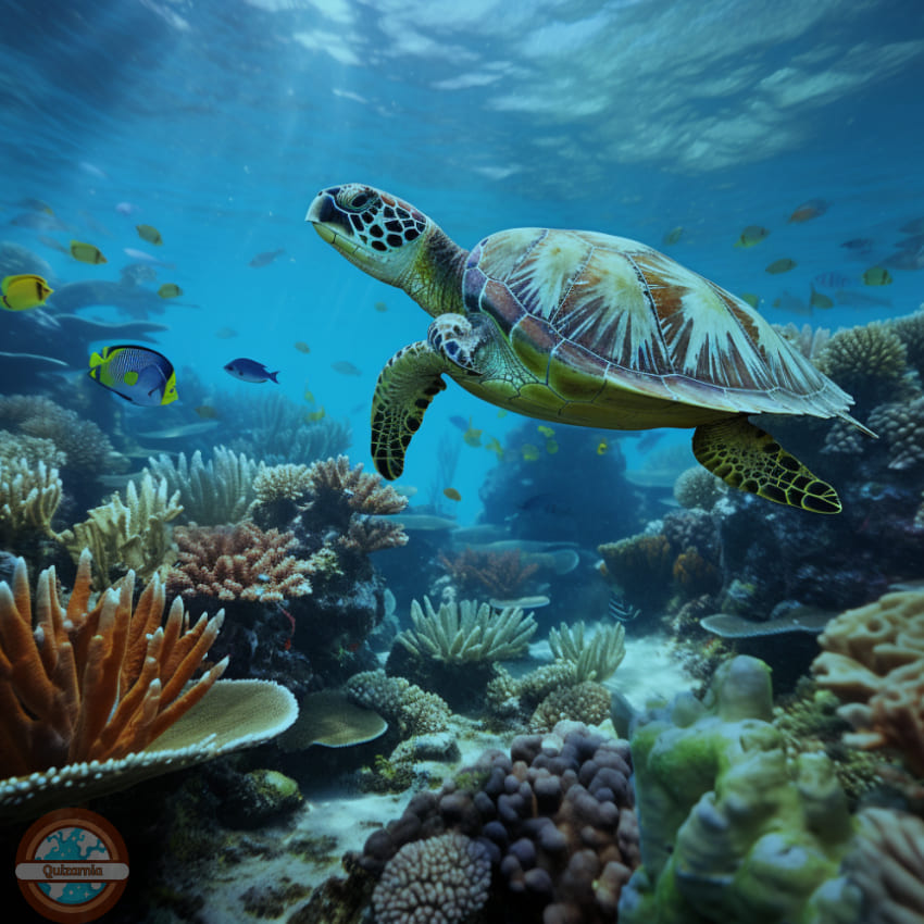 Quizz animaux de compagnie questions moyennes