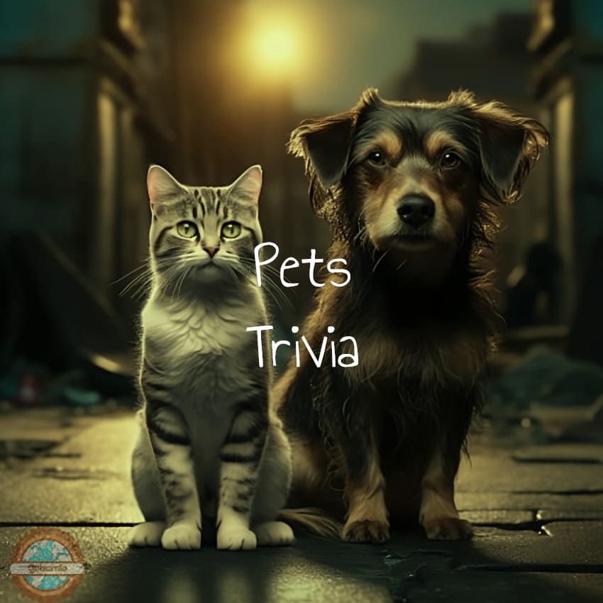 Pets Trivia
